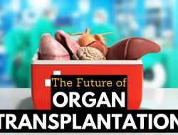 Exclusive Healthcare Packages For Organ Transplantation And Surgery
