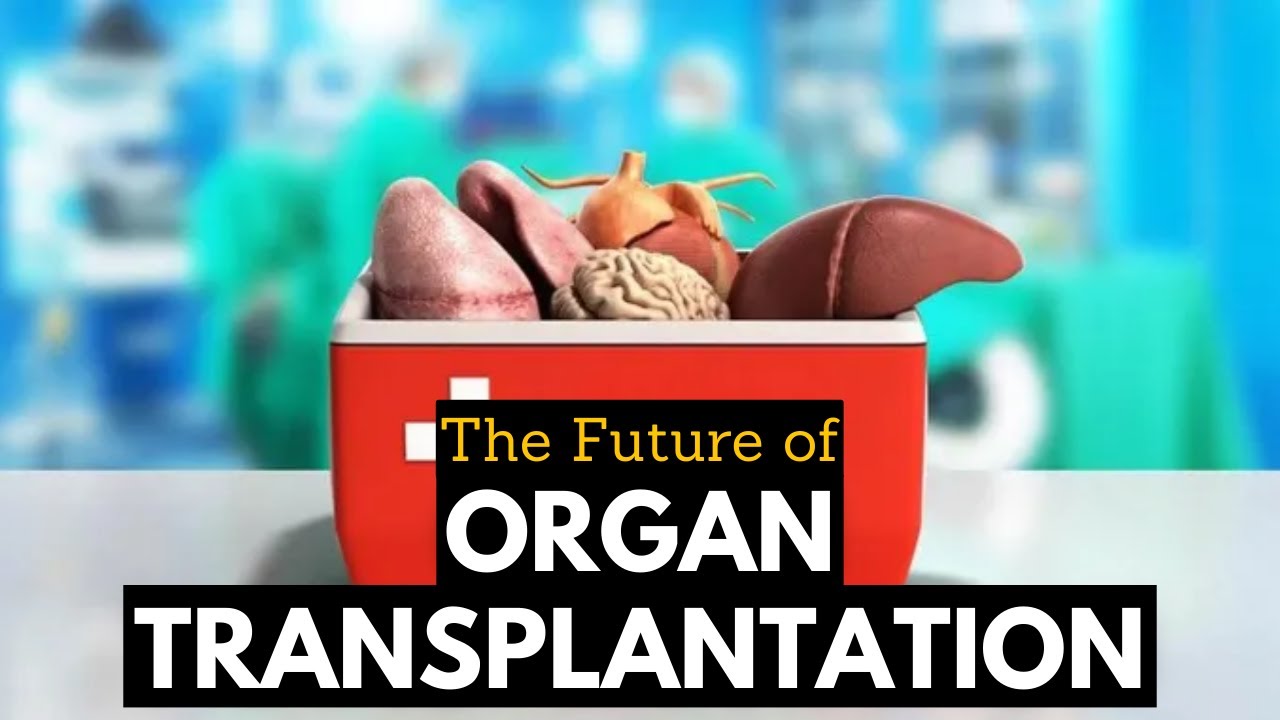 Exclusive Healthcare Packages for Organ Transplantation and Surgery